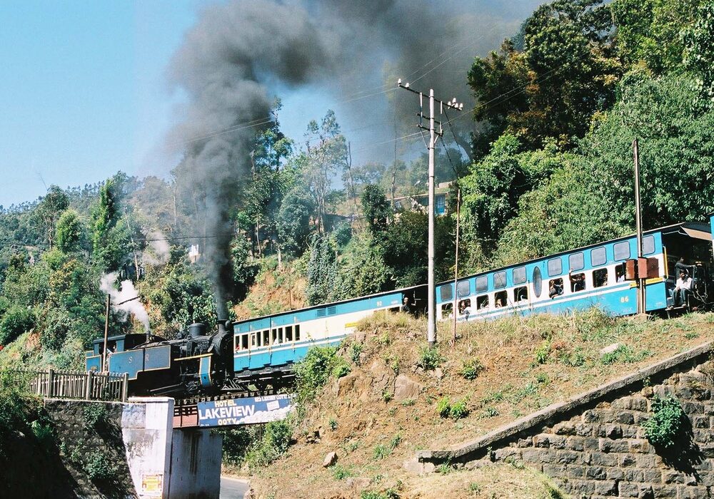 Deodar House 9